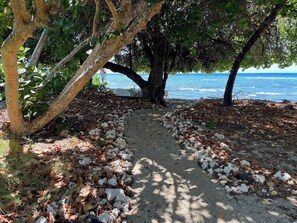 Un sentier menant à une plage jonchée de débris, avec des arbres offrant de l’ombre.