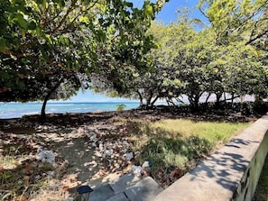 A coastal area with trees, a concrete path, and a view of the sea. - Hale Kahakai ~ 2 BR ~ Ocean Front - Puako (Waimea)