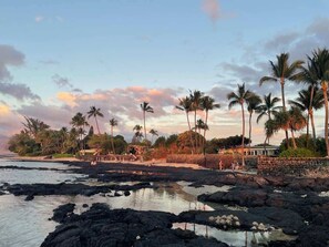 A coastal area with rocky terrain, palm trees, and a stone wall.