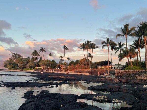 A coastal area with rocky terrain, palm trees, and a stone wall.