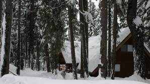 Eine Holzhütte, umgeben von hohen, mit Schnee bedeckten Kiefern.