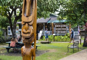 Property grounds - Steps to Beautiful Hanalei Beach A/C TVNC-5108 (Hanalei)