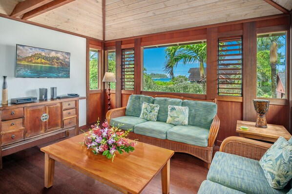 Televisión, reproductor de DVD y libros 