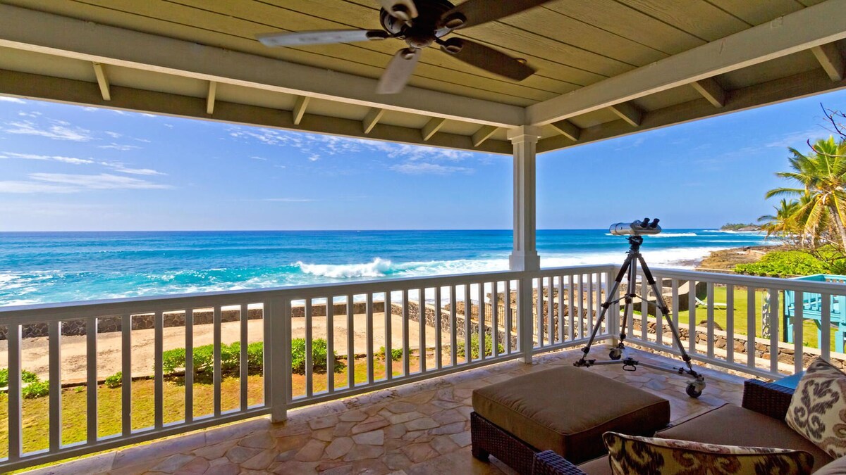 Imagen de perfil del propietario o de la propietaria