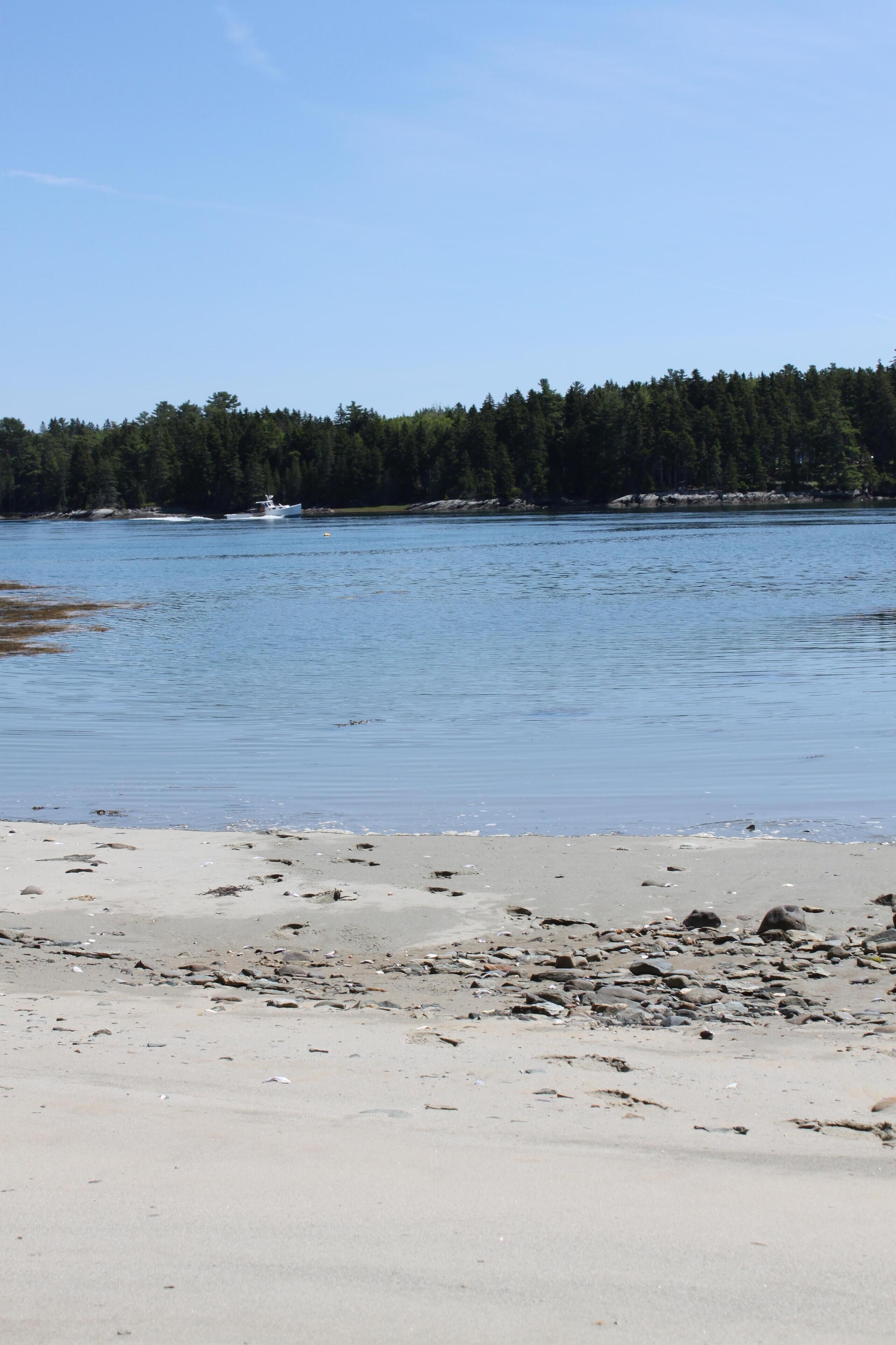 Oceanfront Private Beach! Family friendly, Multi-Generational House by Acadia! 