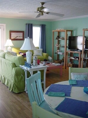 TV, books, music library, video library - BeachsideCottge,easywalk2BestBeach,3bdrm2bth,UpperDeck,FreeWiFi,PetsWlcmFncdYrd (St Augustine)
