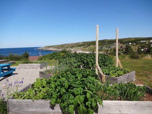 Beautiful home in Flatrock,  spectacular ocean view,  spacious grounds, magical 