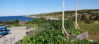 Beautiful home in Flatrock,  spectacular ocean view,  spacious grounds, magical 