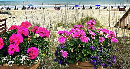 Schöner Ort! Schnell zu Fuß zum Strand / Annehmlichkeiten!