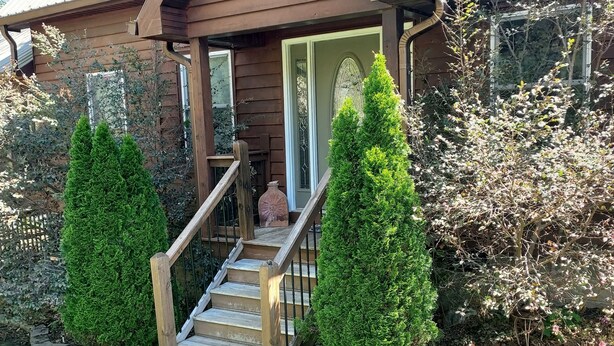 Una casa de fusta amb un porxo, una escala i dues plantes d'arbustos coníferes.