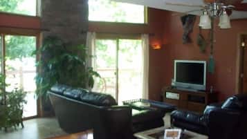 电视、DVD 播放器、立体声音响