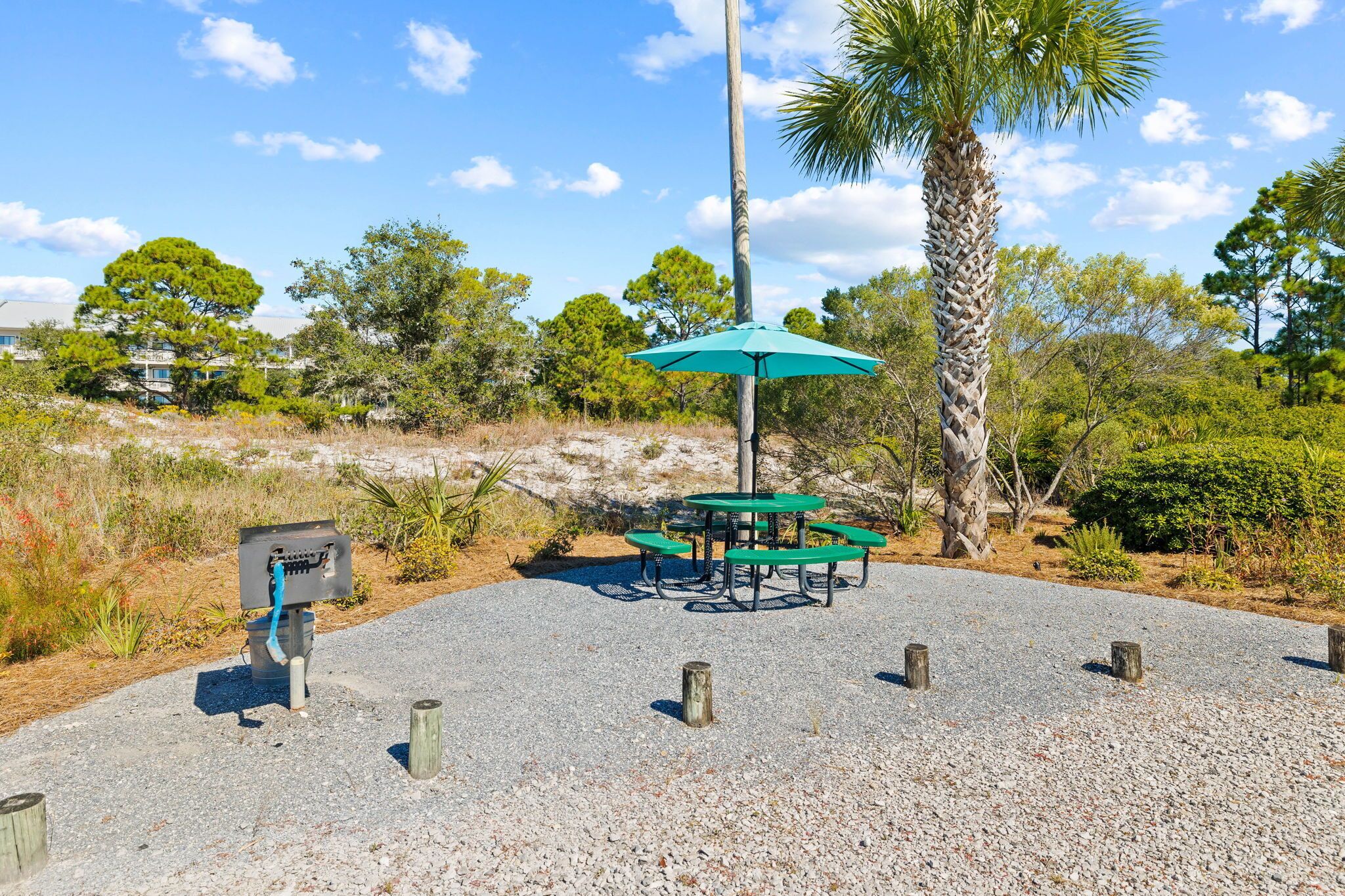 Grill Area