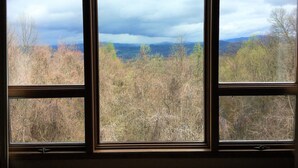 Una habitación con tres ventanas que dan a un paisaje boscoso.