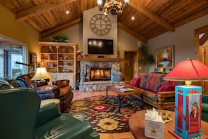 Smart TV, fireplace, books, video library