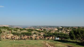 A fenced area with grazing animals, a house, and a hilly landscape in the background.