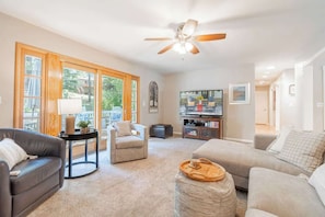 TV, fireplace, video games, DVD player
