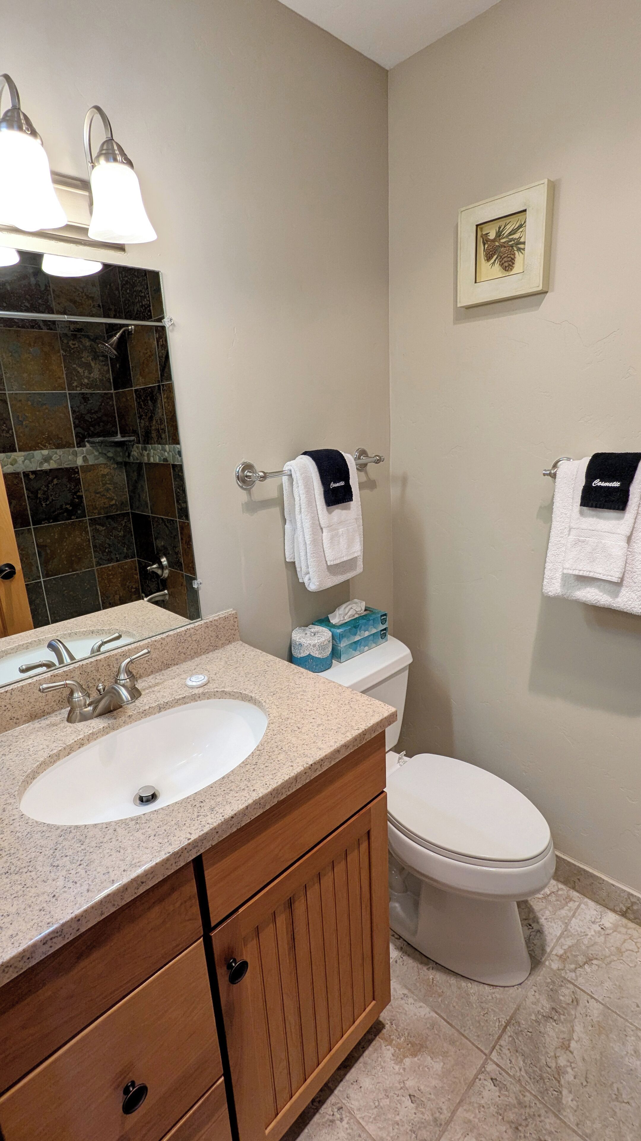 Master bathroom vanity & toilet