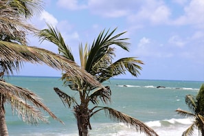 On the beach, sun loungers, beach towels