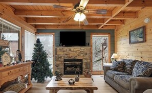 Smart TV, chimenea, videojuegos y reproductor de DVD