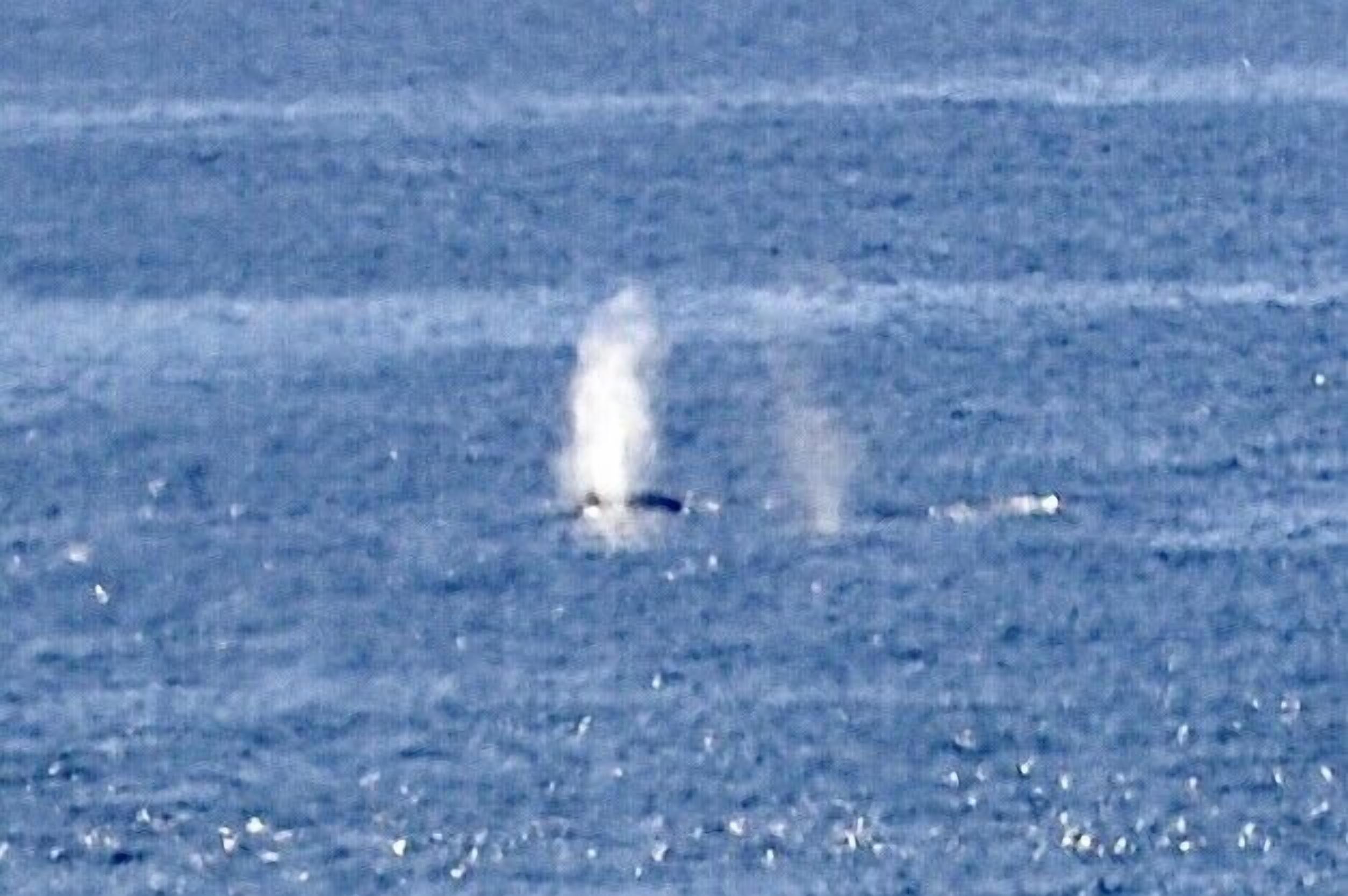 A view of a body of water with a single white object in the distance.