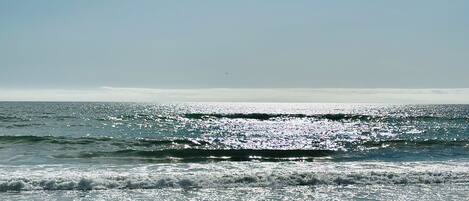Una persona caminando sobre la playa, con olas y cielo despejado.