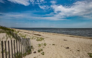 Plage, chaises longues