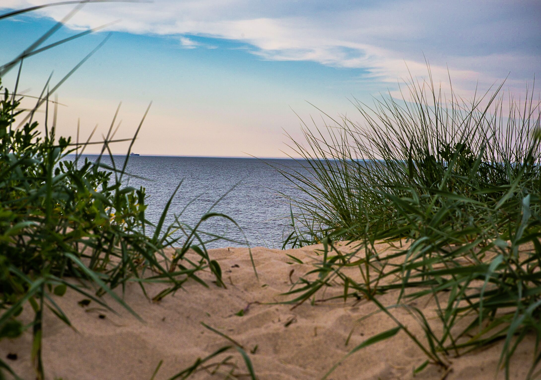 En la playa y camastros 