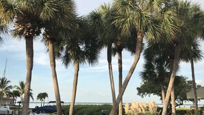 A row of tall palm trees with a body of water and a bridge in the background.