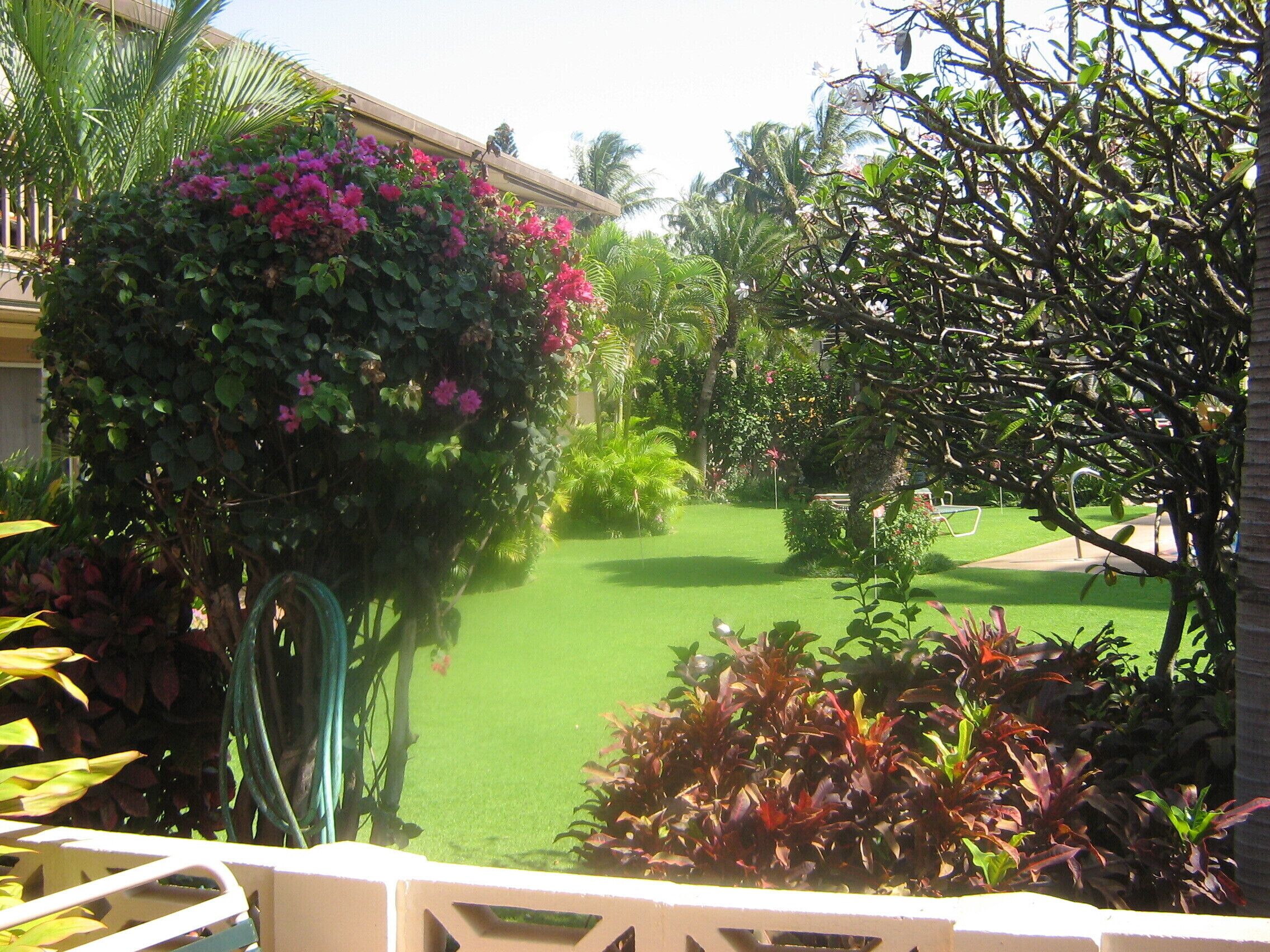 A well-maintained garden with a variety of plants and a neatly trimmed lawn.