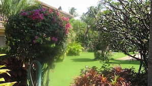 Un jardín bien cuidado con diversas plantas y un césped impecable.