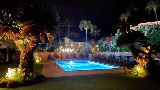 Piscina rodeada de palmeras y zonas ajardinadas iluminadas.