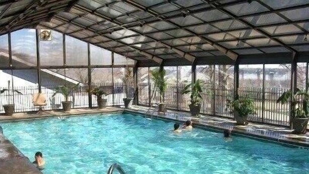 Una piscina interna con acqua cristallina, circondata da piante in vaso e una struttura in metallo per il tetto.