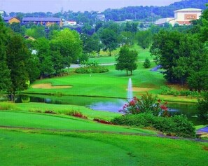 Golf - AAA+ location!  Pool and Clubhouse right across the street! (Branson)
