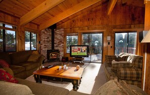 TV, DVD player, books, video library