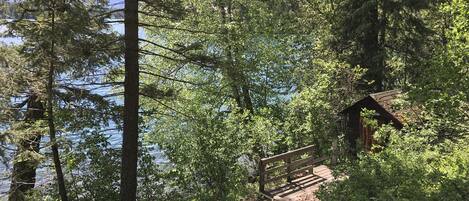 Una escalera de madera conduce a una cabaña rodeada de un bosque tupido y un lago.