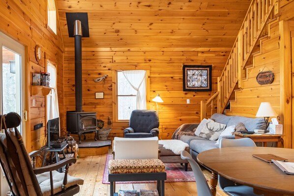 Smart TV, chimenea, reproductor de DVD y libros 