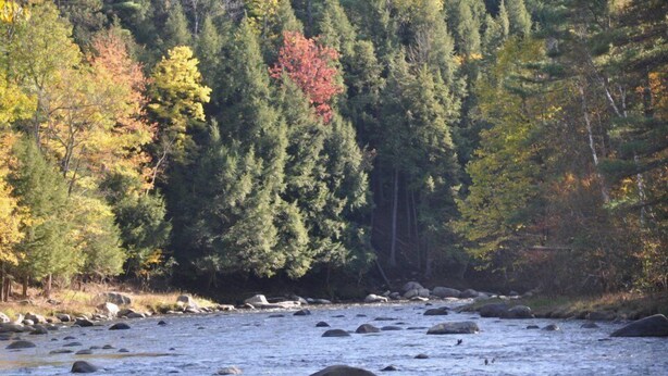 A river with rocks and trees in the background. - Secluded, Furnished, Log Home, Close To Many Adirondack Attractions. (Jay)