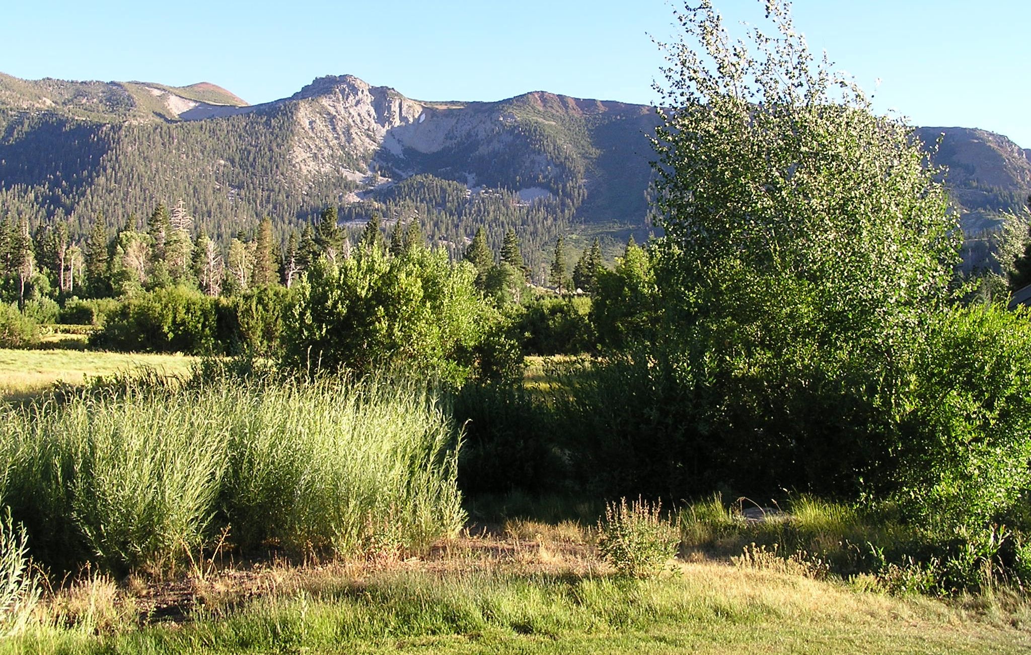 Südliche Ansicht von Snowcreek 63 mit einer Berglandschaft im Hintergrund.