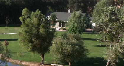 Koti lampi puistossa kaltaisissa olosuhteissa