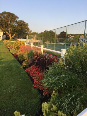 المنطقة المحيطة بالمنشأة