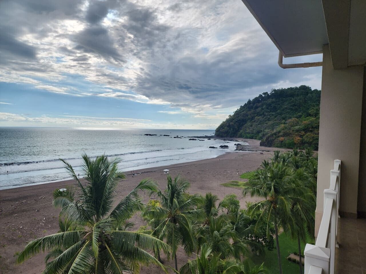 Vista al mar desde un balcón, con palmeras al frente.