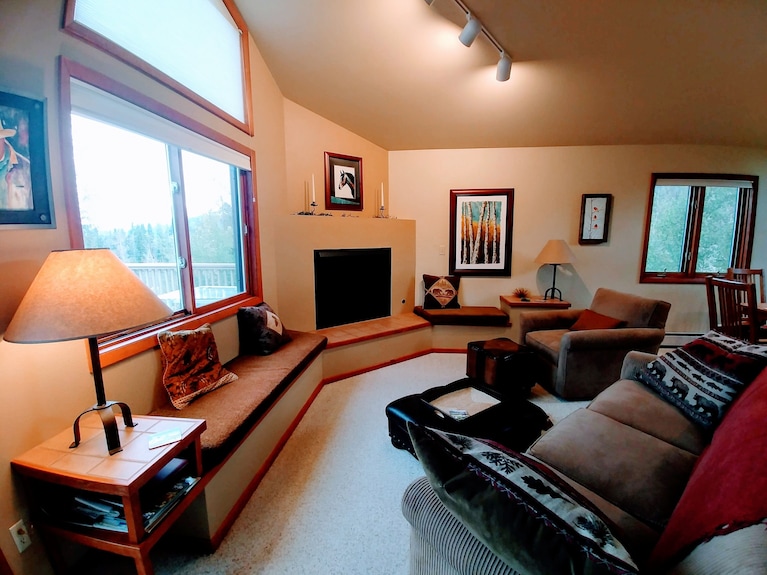 Beautiful Mountain Views, 5 Ski Areas, Nat'l Forest Hiking, Biking, Lakes. - Dillon, CO
