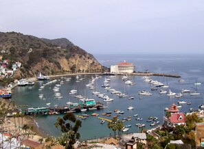 A coastal marina with numerous boats docked, a prominent white building with a red roof, and a hillside with sparse vegetation. - Catalina Island Dream Homes (Avalon)