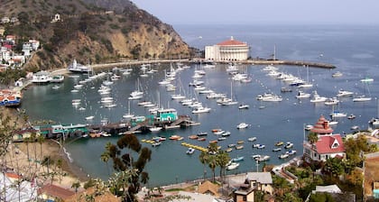 Catalina Island Dream Homes