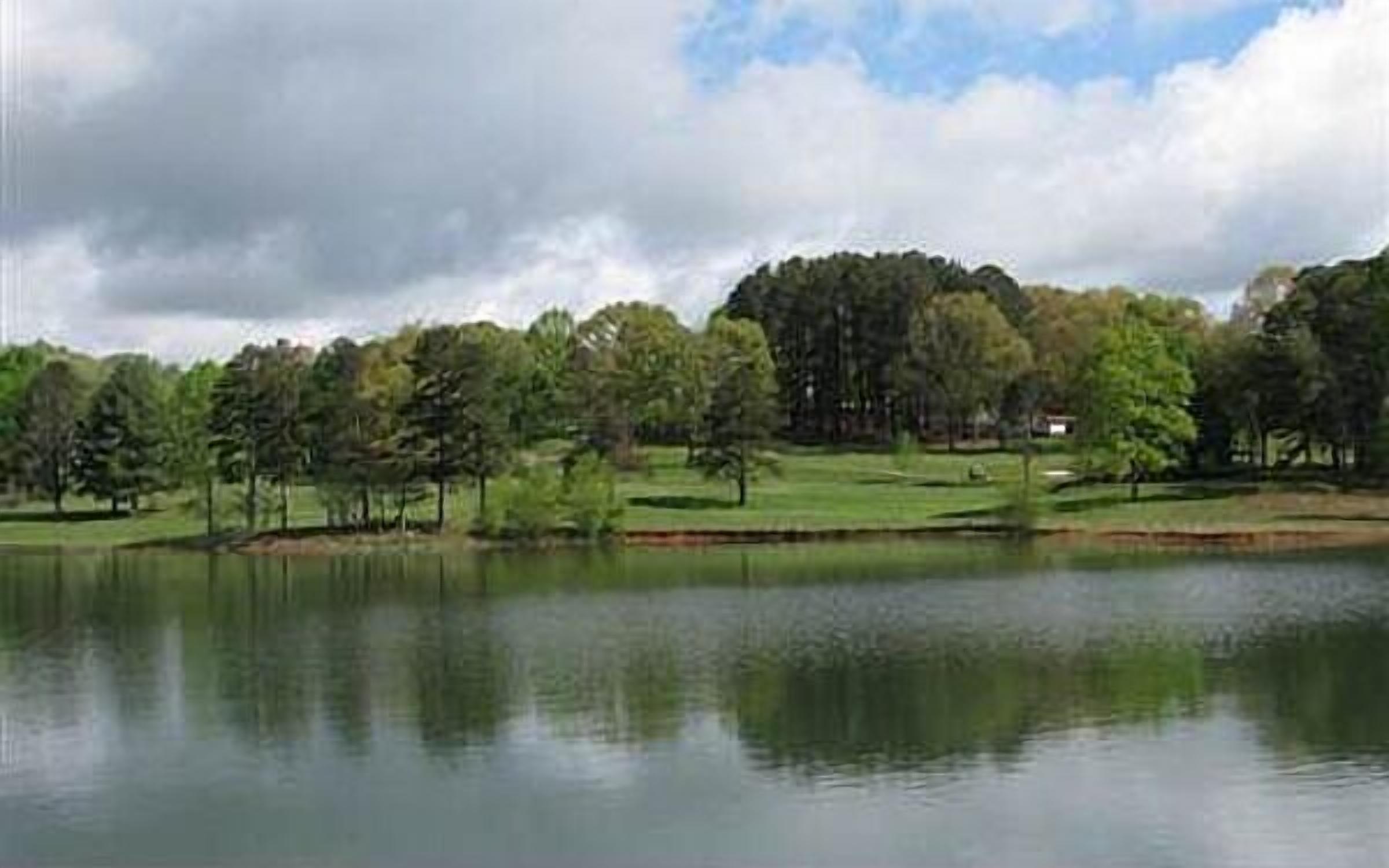 Welcome to The Treehouse on Lake Chatuge!