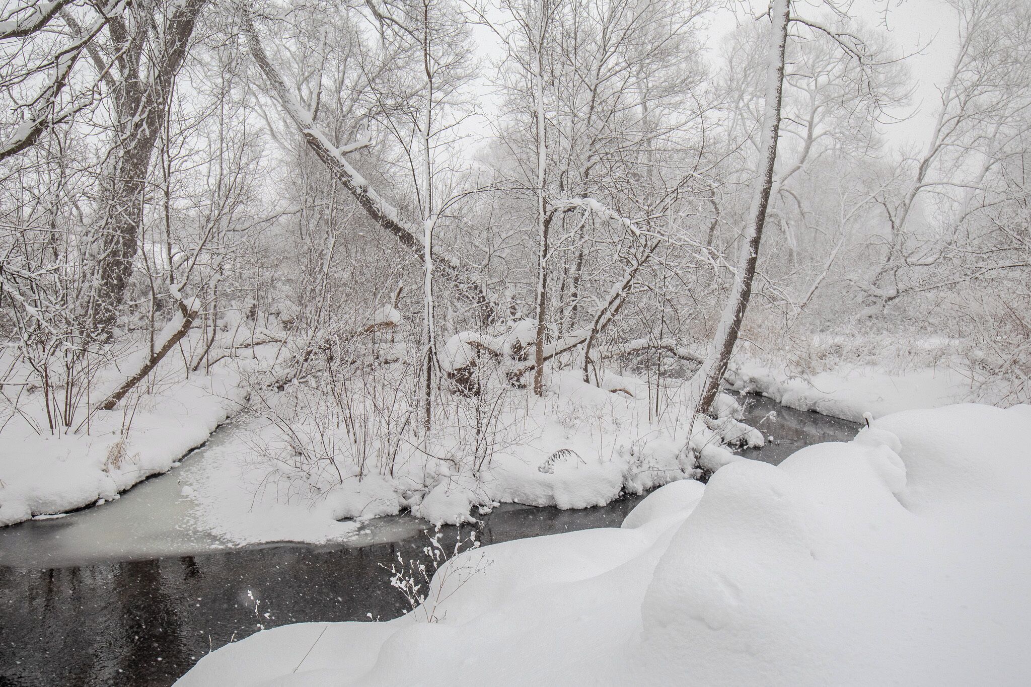 Schneebedeckte Landschaft mit einem gefrorenen Bach und kahlen Bäumen.