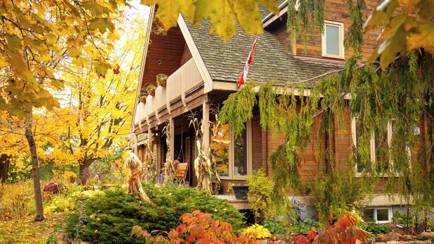 A wooden house with a porch, surrounded by autumn foliage. - Runaway Rooster B&B - The Coop (Prince Edward)