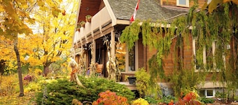 Runaway Rooster BnB - La Coop