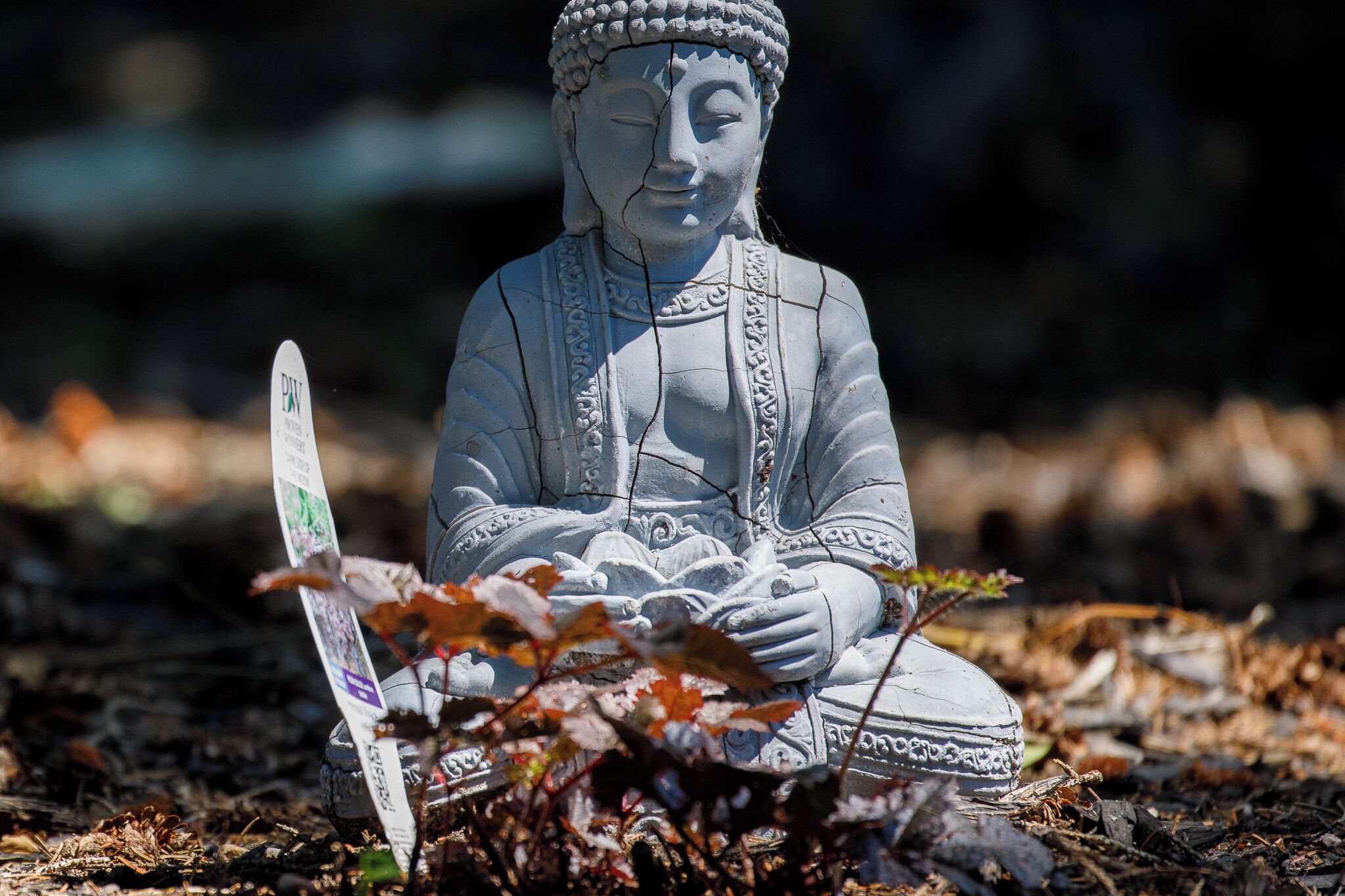 Una estatua de una figura sentada con intrincados relieves, rodeada de follaje natural y un cartel con texto.