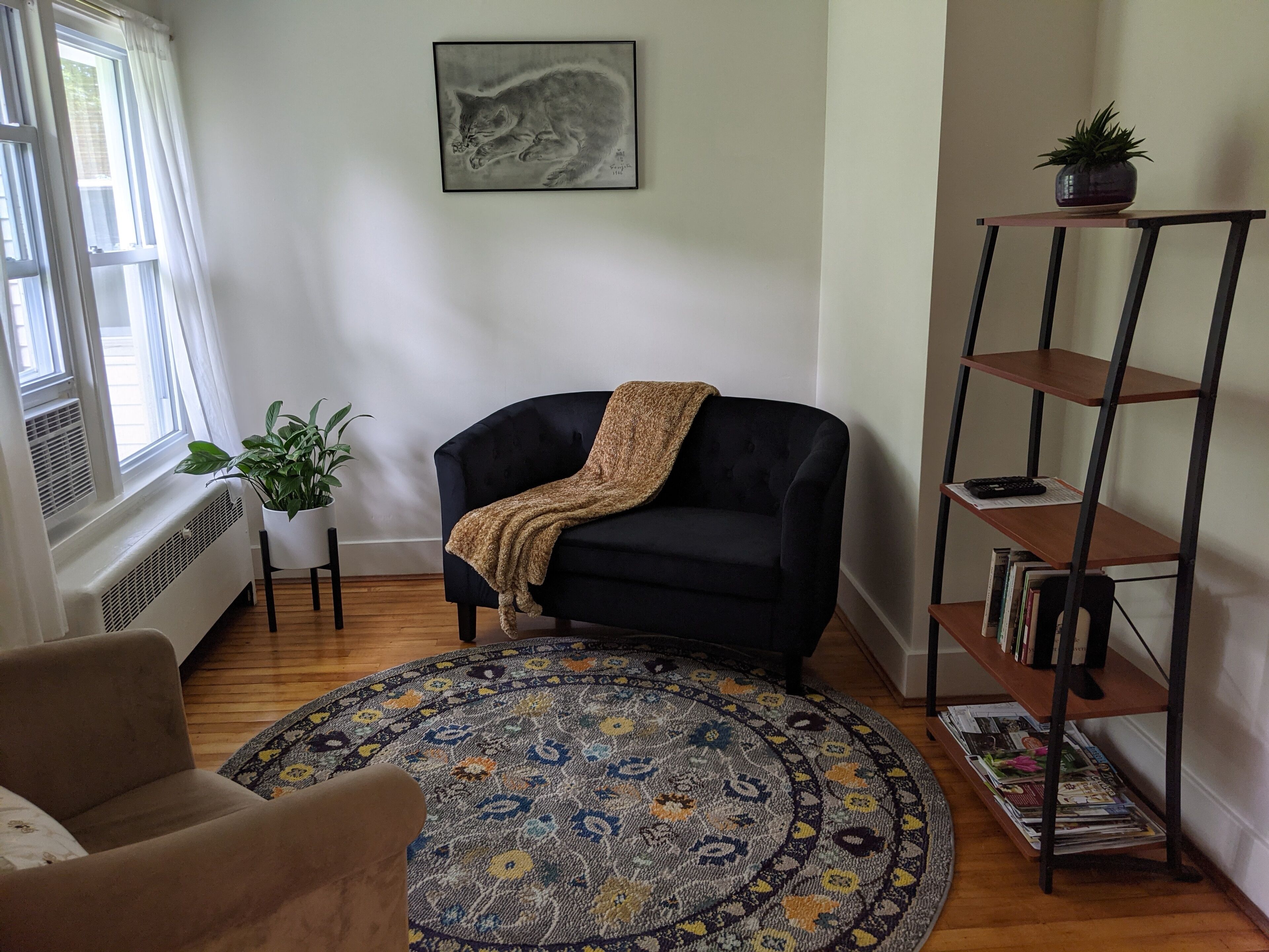 Télévision, lecteur de DVD, livres